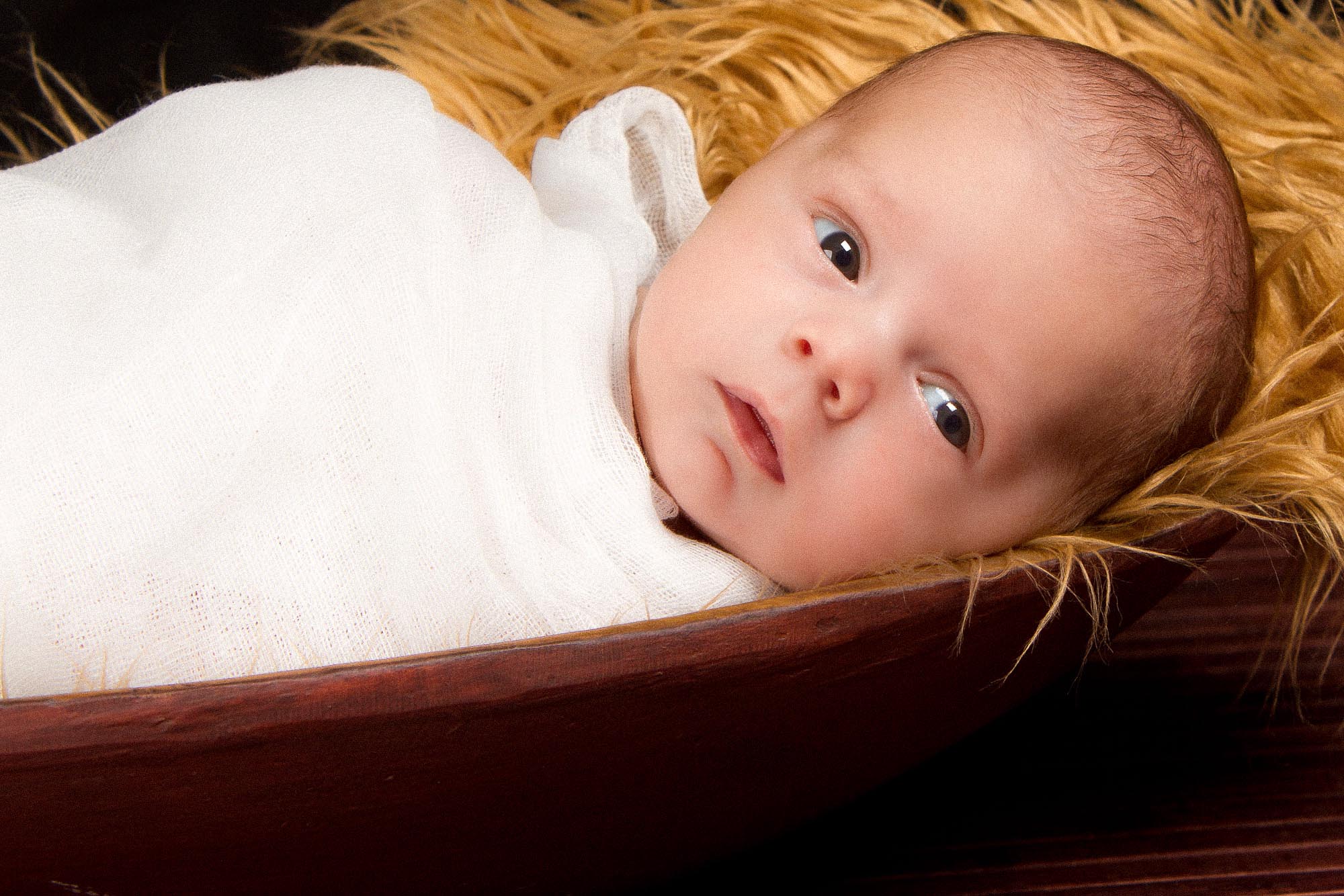 Portfolio Nouveau-n&eacute;s